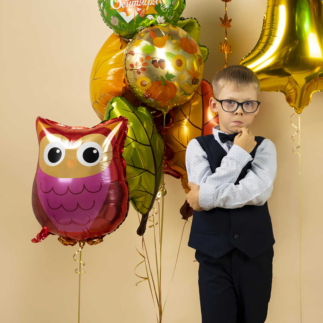 Шар (21''/53 см) Фигура, Лесная Сова, 1 шт.