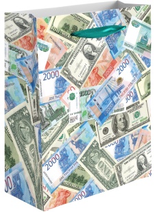 Пакет подарочный, 210гр, Деньги, 23*18*10 см, 1 шт.