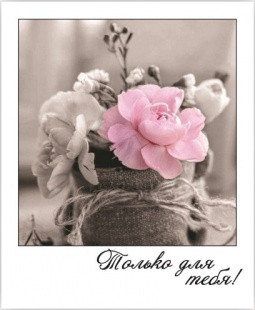 Мини - открытка, Только для тебя! (нежные цветы), 9*11 см, 10 шт.