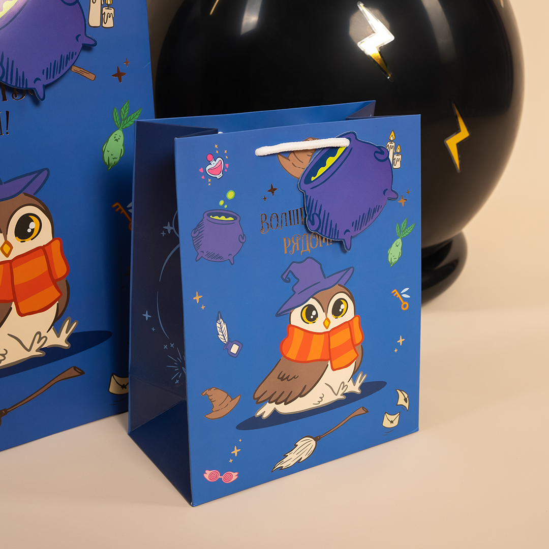 Пакет подарочный, 210гр, Волшебная школа, 23*18*10 см, 1 шт.