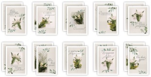 Набор мини-открыток, Поздравления (цветы), Ассорти, 7*10 см, 20 шт.