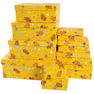 Набор коробок Капибара, СДР, Все Сбудется!, 33*20*13 см, 10 шт. в упак. 