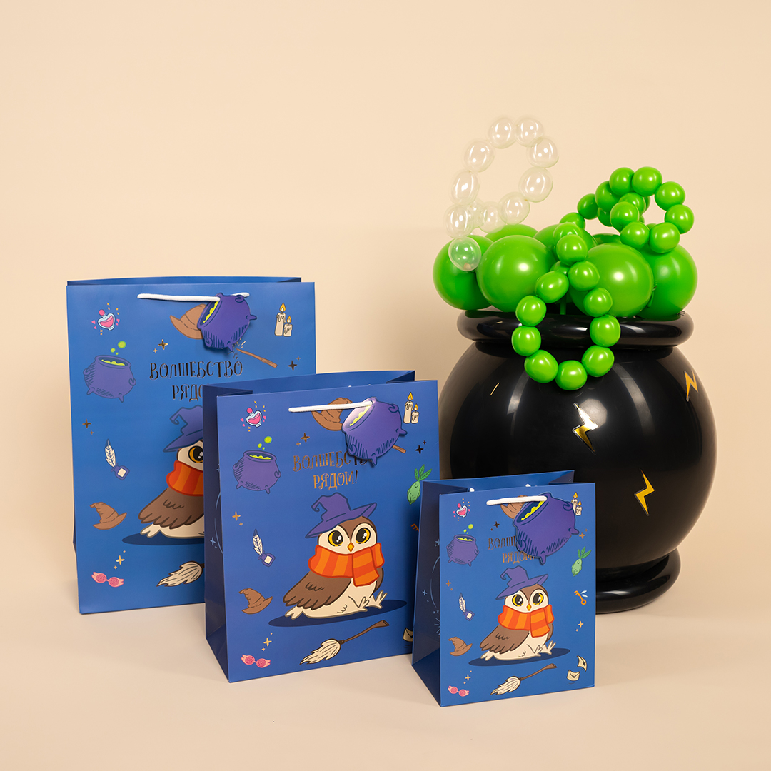 Пакет подарочный, 210гр, Волшебная школа, 23*18*10 см, 1 шт.
