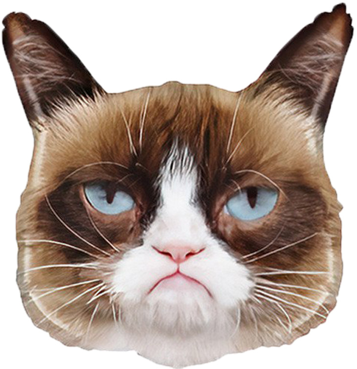 Шар (26''/66 см) Фигура, Сердитая кошка, 1 шт.