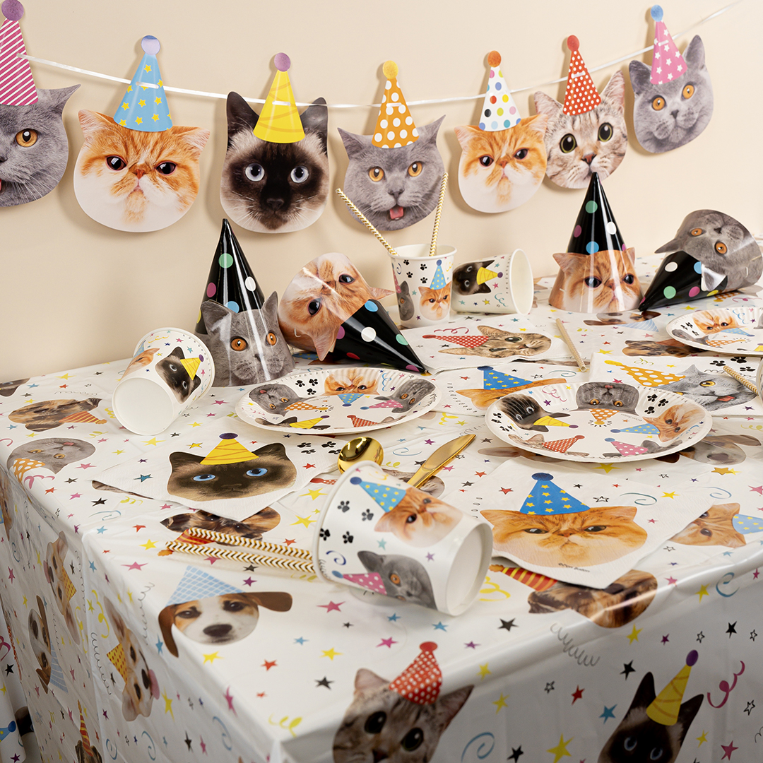 Колпаки, Котики, 16 см, 6 шт. в упак. 