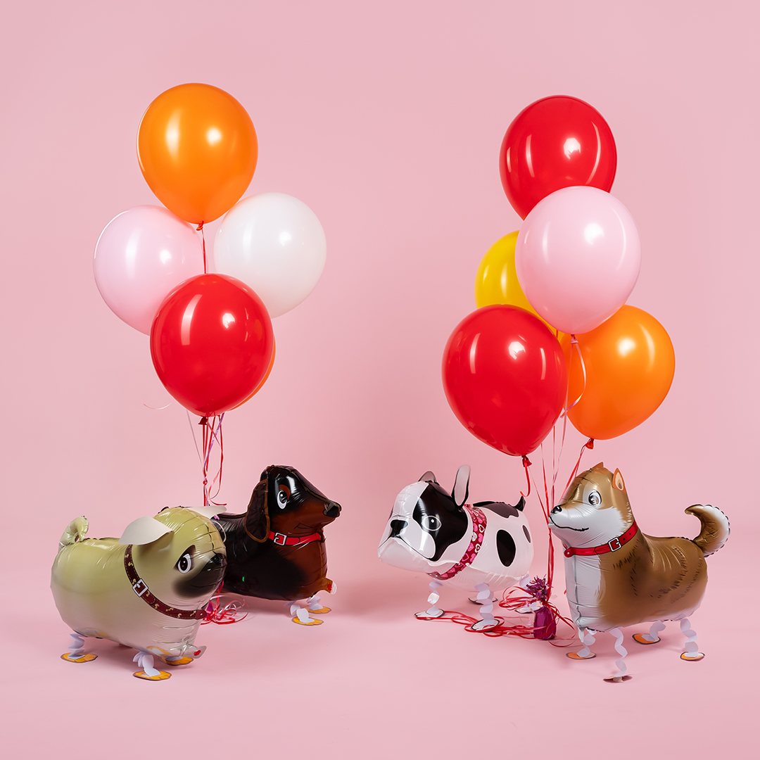 Шар 3D (24''/61 см) Ходячая Фигура, Такса, 1 шт.