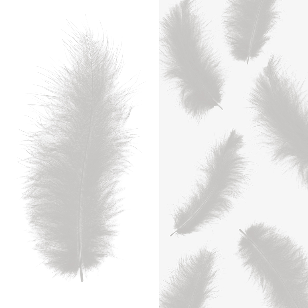 Перья, Премиум, Серебро, 12-15 см, 30 шт.