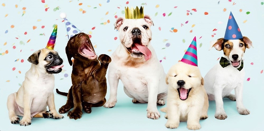 Конверты для денег, Собачки, 10 шт.