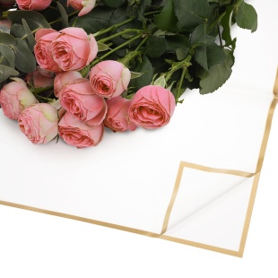 Упаковочная пленка 53мкр (0,57*0,57 м) Золотистая кайма, Белый, Матовый, 20 шт.