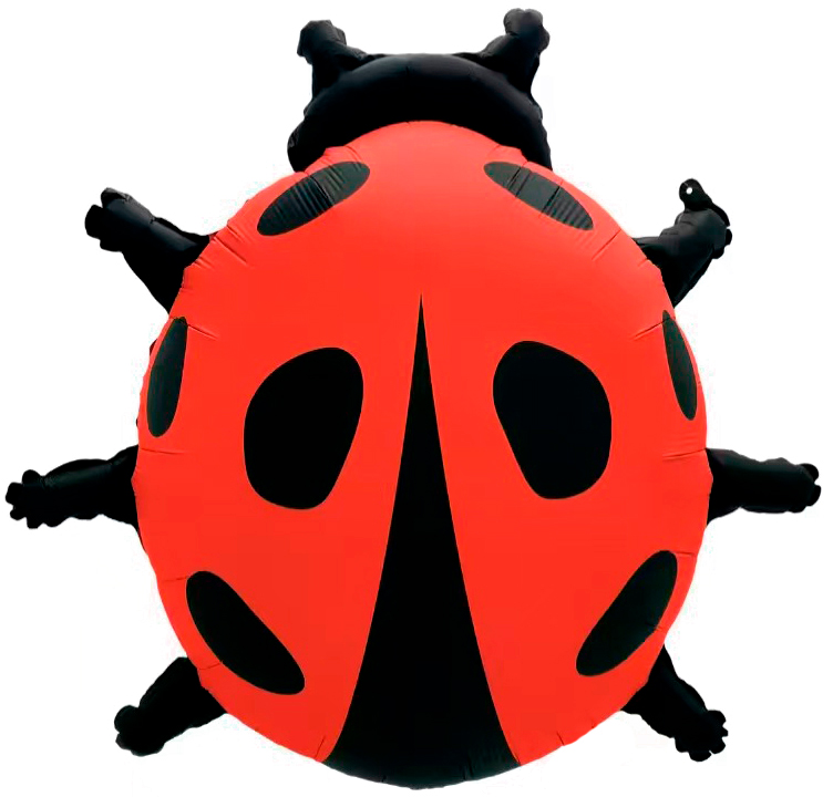 Шар (34''/86 см) Фигура, Божья коровка, Сатин, 1 шт.