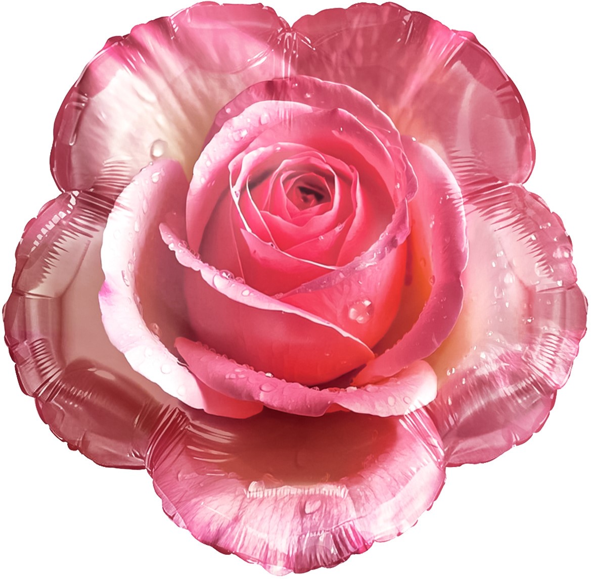 Шар (18''/46 см) Фигура, Утренняя роза, 1 шт.