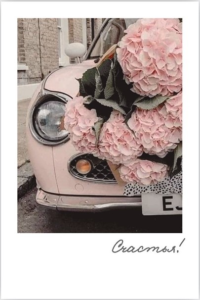 Мини - открытка, Счастья! (цветы и автомобиль), 6*9 см, 10 шт.