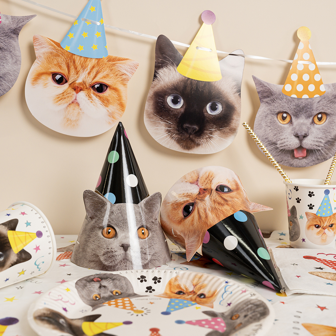 Колпаки, Котики, 16 см, 6 шт. в упак. 